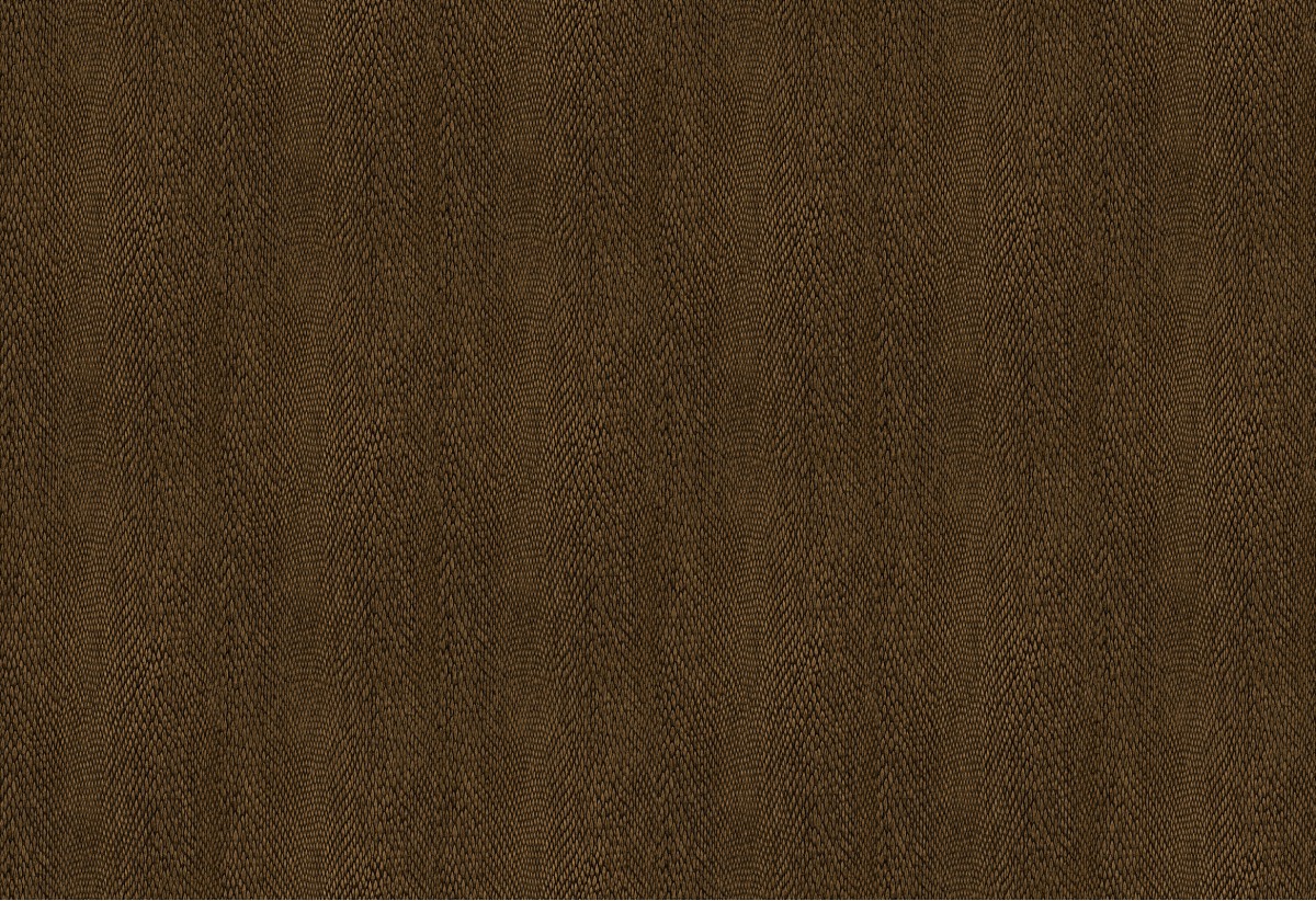 Leopard Walk 15334